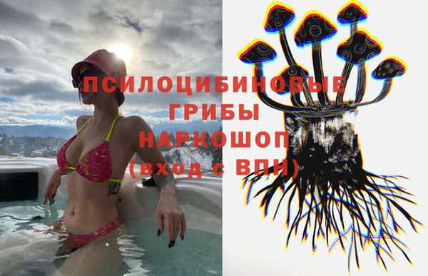 стафф Приозерск