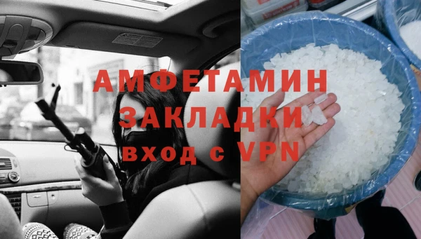 шишки Заволжье