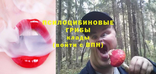 синтетический гашиш Пролетарск