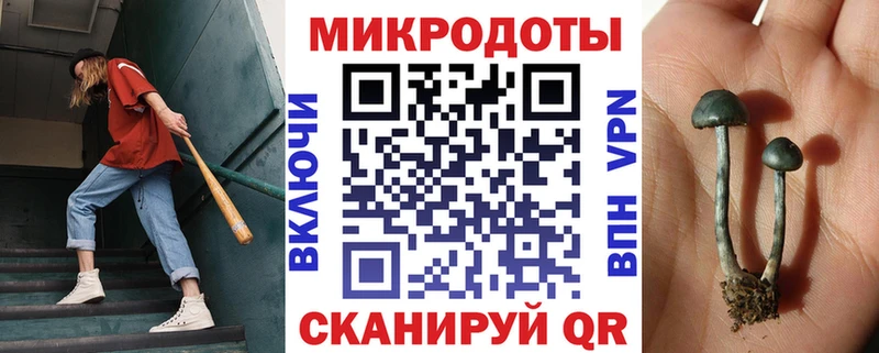 цена наркотик  Кыштым  Галлюциногенные грибы Magic Shrooms 