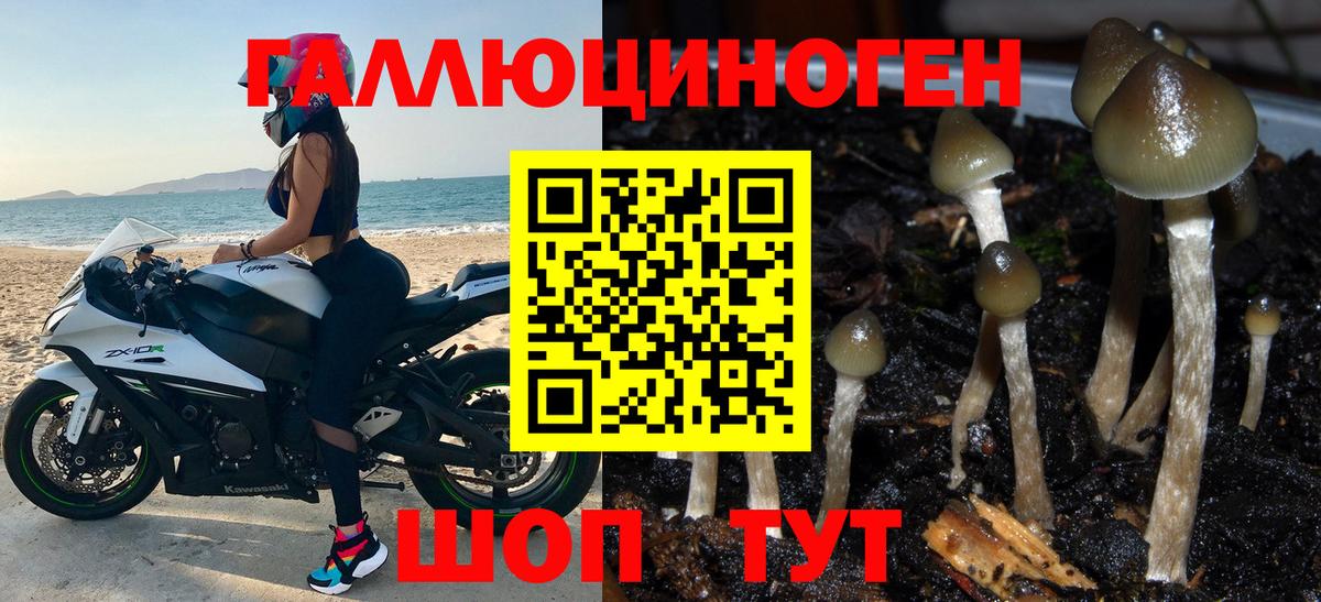 Галлюциногенные грибы GOLDEN TEACHER  Вход с VPN  Кыштым 